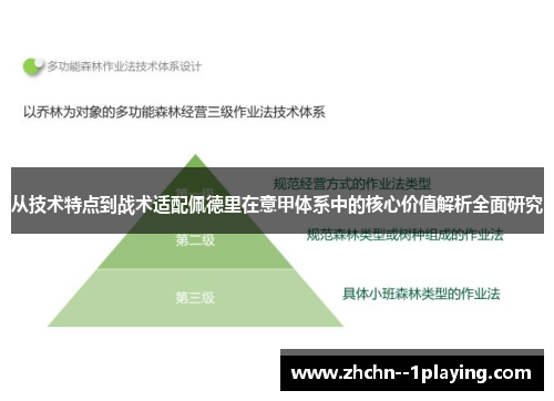 从技术特点到战术适配佩德里在意甲体系中的核心价值解析全面研究 从技术特点到战术适配佩德里在意甲体系中的核心价值解析全面研究