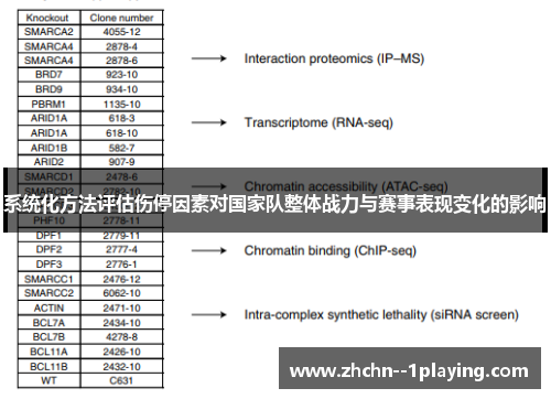 系统化方法评估伤停因素对国家队整体战力与赛事表现变化的影响