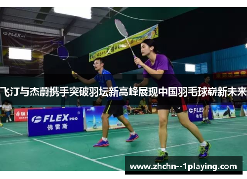 飞汀与杰蔚携手突破羽坛新高峰展现中国羽毛球崭新未来